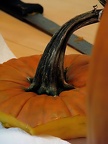 pumpkins-0490