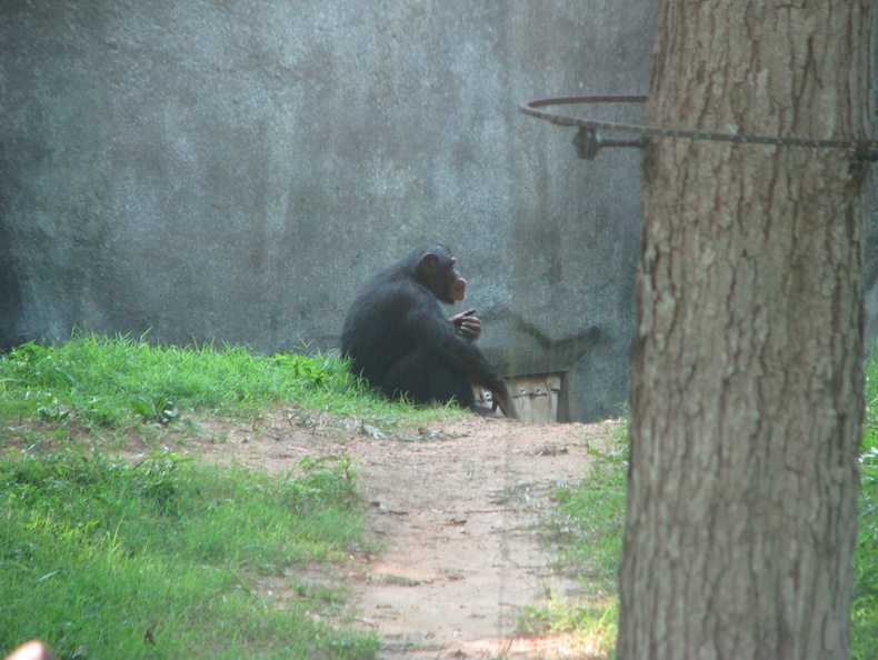 Zoo2009-0017.jpg