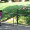 Zoo2009-0024
