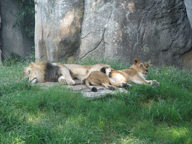 Zoo2009-0027.jpg