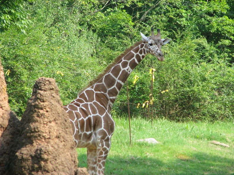 Zoo2009-0032.jpg