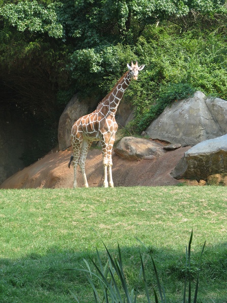 Zoo2009-0037.jpg