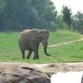 Zoo2009-0046