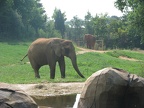 Zoo2009-0047