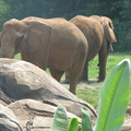Zoo2009-0048