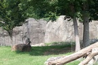 Zoo2013-2670