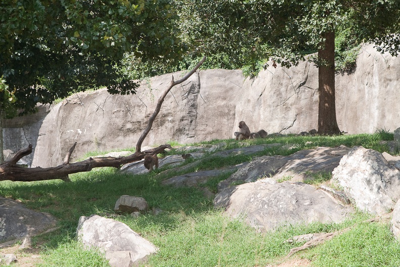 Zoo2013-2675.jpg