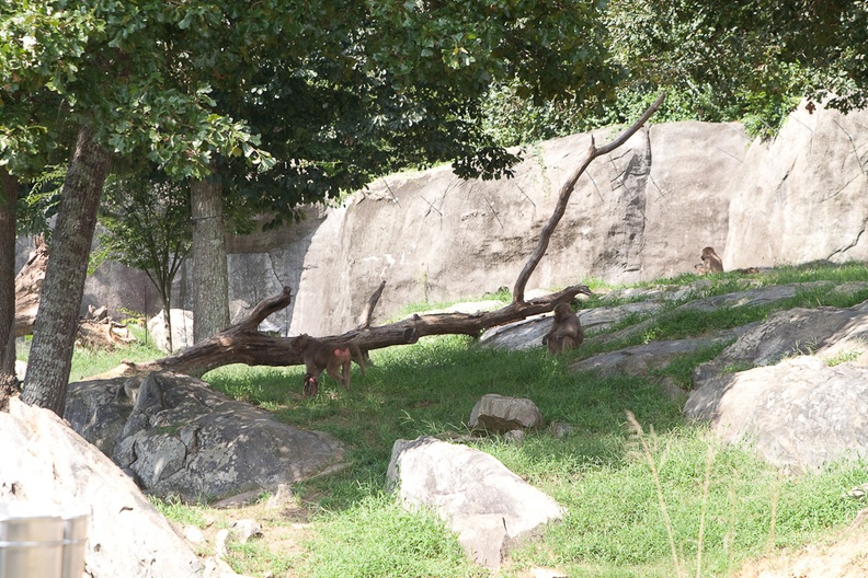 Zoo2013-2677.jpg
