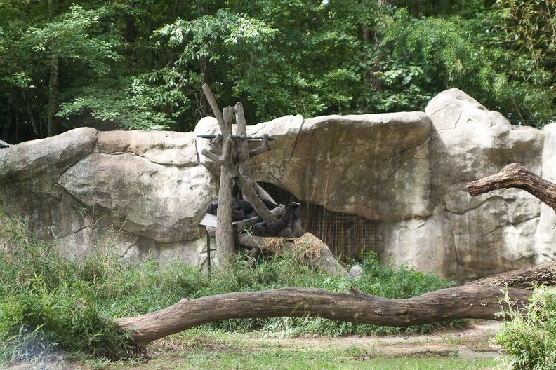 Zoo2013-2678.jpg