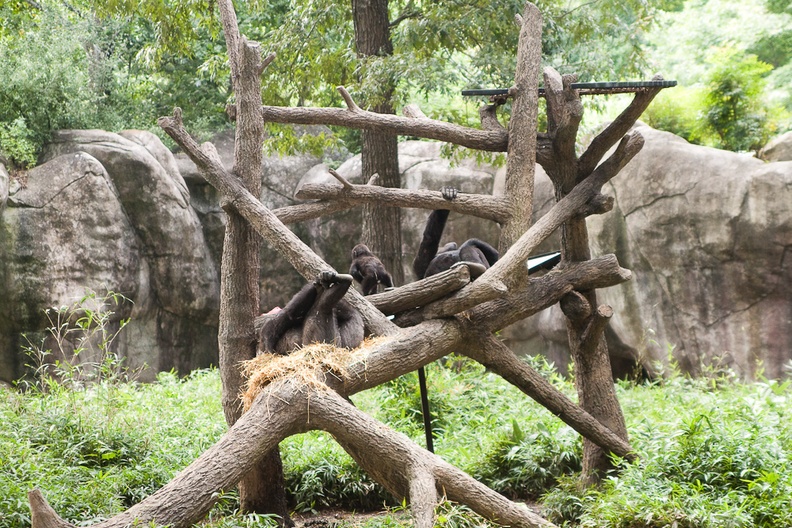 Zoo2013-2684.jpg