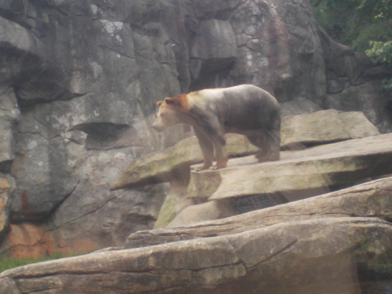 Zoo2013-0425.jpg