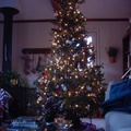 Decker Christmas tree