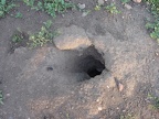 Prairie dog hole