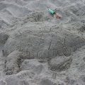 Bigger Sea Turtle
