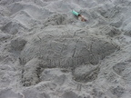 Bigger Sea Turtle