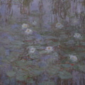 Monet's water lilies