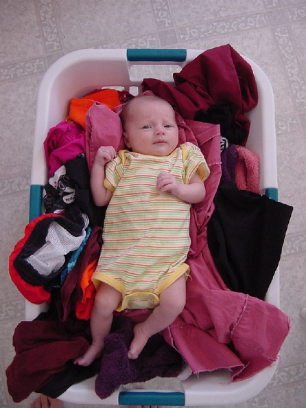 Dirty_Laundry.jpg
