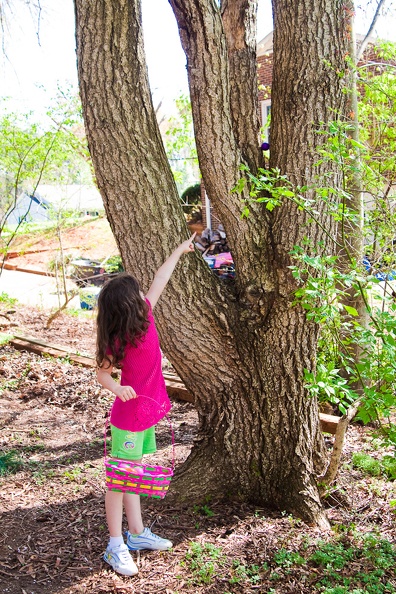 Emily finding tree-hidden Easter Egg